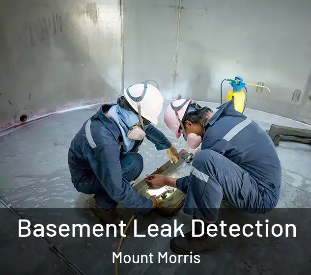  Basement Leak Detection Mount Morris