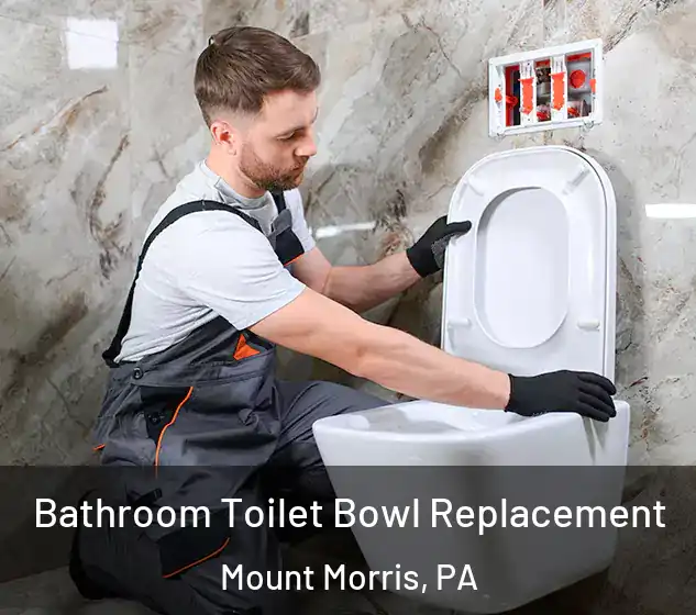  Bathroom Toilet Bowl Replacement Mount Morris, PA