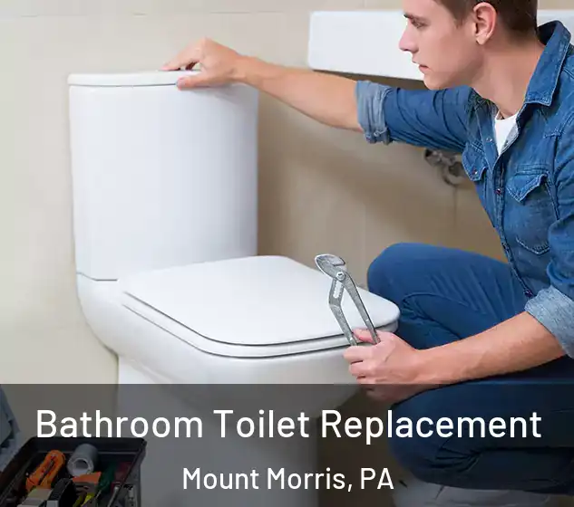  Bathroom Toilet Replacement Mount Morris, PA