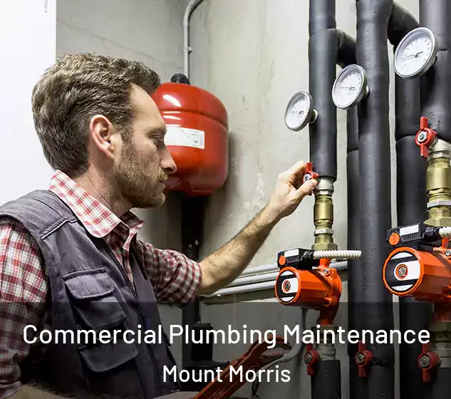  Commercial Plumbing Maintenance Mount Morris
