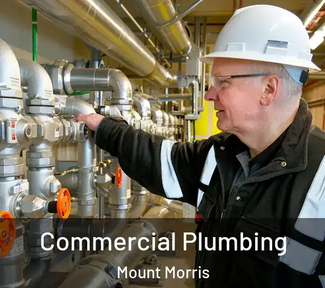  Commercial Plumbing Mount Morris