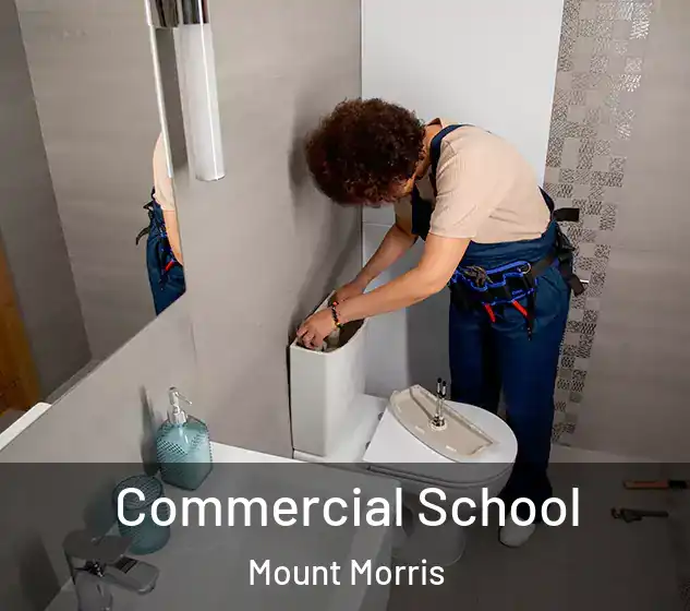  Commercial School Mount Morris