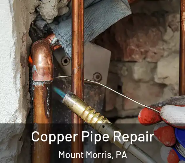 Copper Pipe Repair Mount Morris, PA