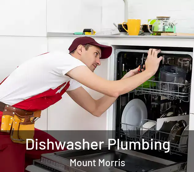  Dishwasher Plumbing Mount Morris