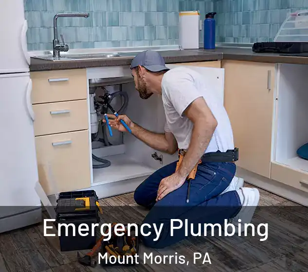  Emergency Plumbing Mount Morris, PA