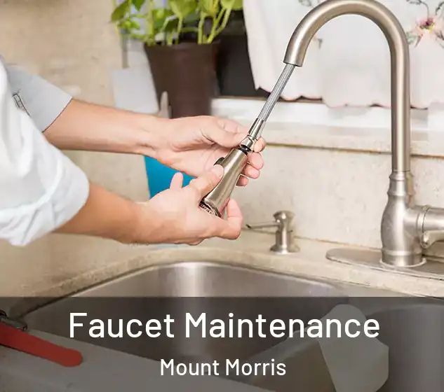  Faucet Maintenance Mount Morris