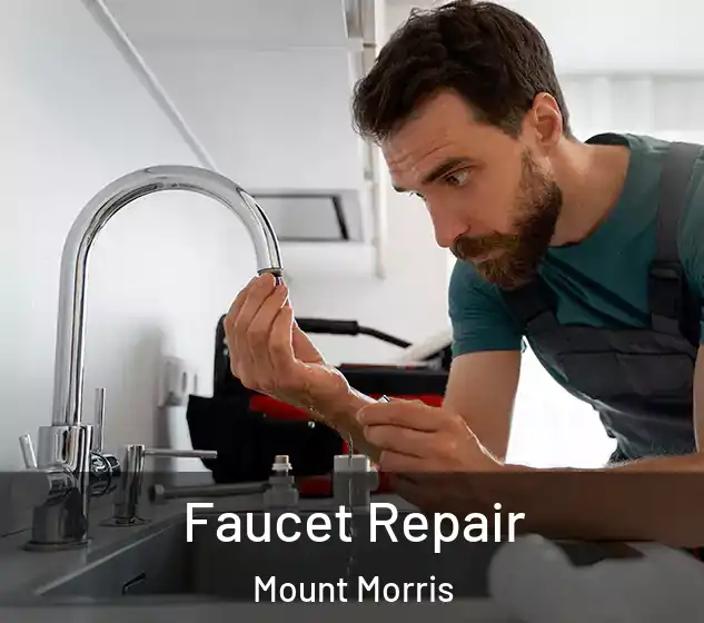  Faucet Repair Mount Morris