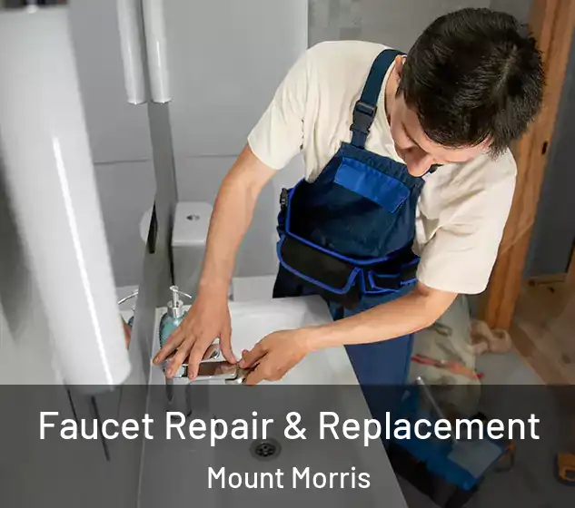  Faucet Repair & Replacement Mount Morris