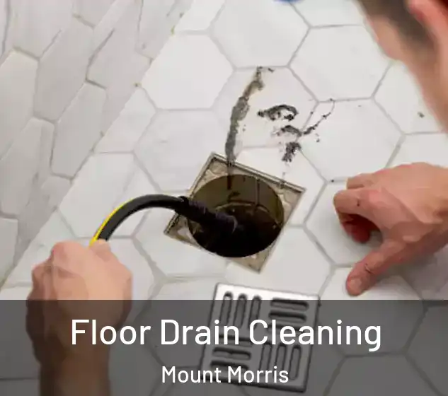  Floor Drain Cleaning Mount Morris