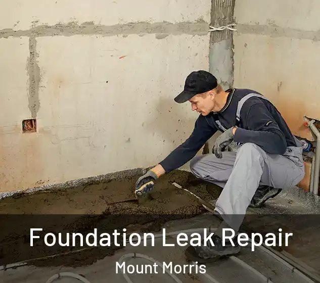  Foundation Leak Repair Mount Morris