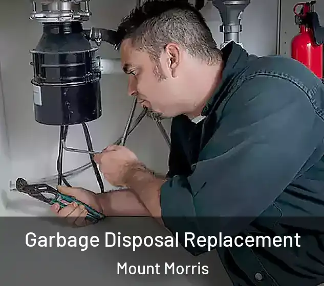  Garbage Disposal Replacement Mount Morris