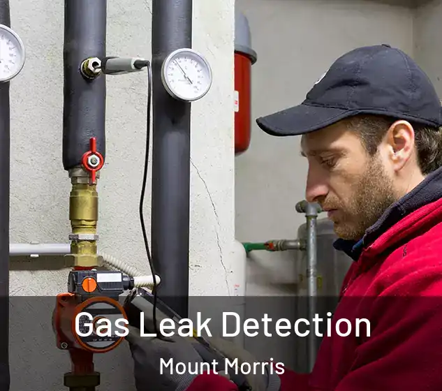  Gas Leak Detection Mount Morris