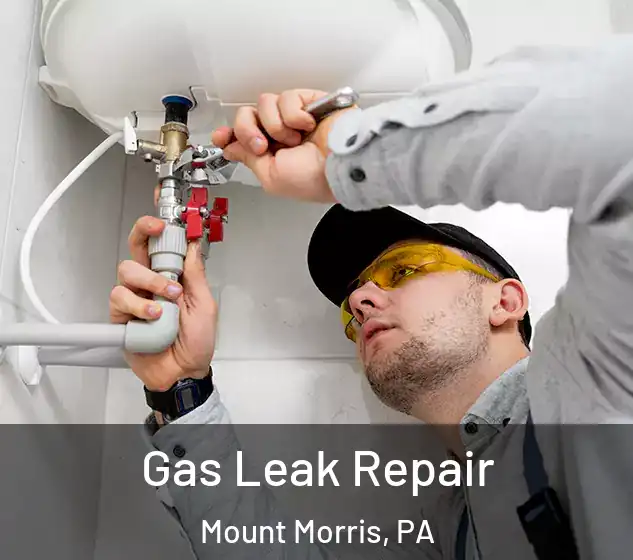  Gas Leak Repair Mount Morris, PA