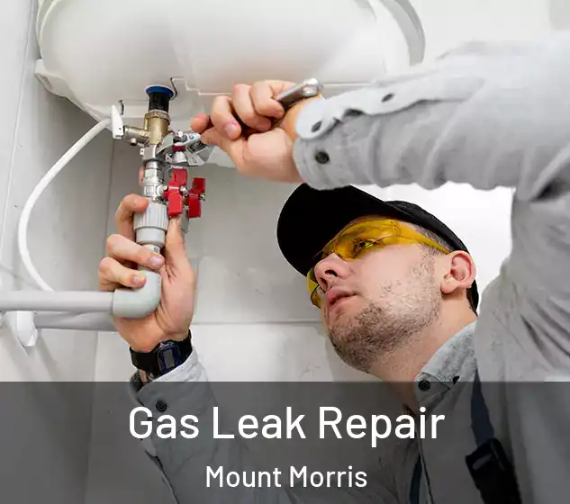  Gas Leak Repair Mount Morris