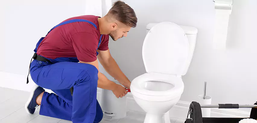 Scope of Bathroom Toilet Bowl Replacement Services in Mount Morris, PA