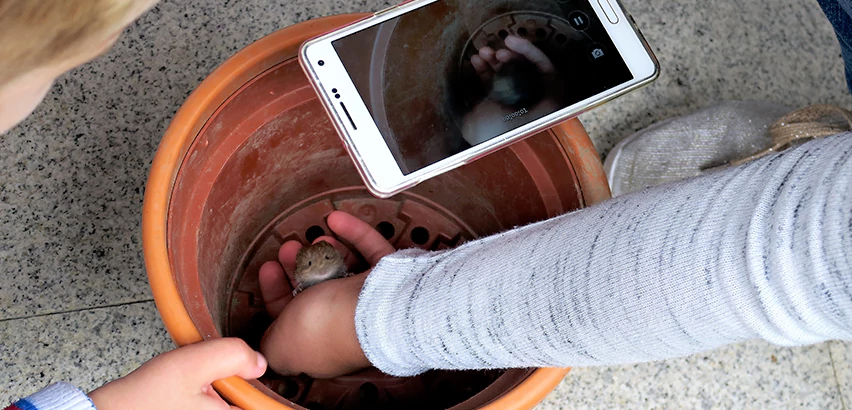 Scope of Drain Camera Inspection Services in Mount Morris, PA