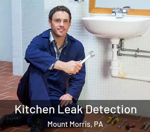  Kitchen Leak Detection Mount Morris, PA