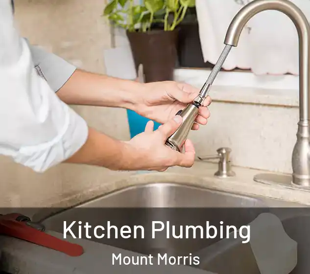  Kitchen Plumbing Mount Morris