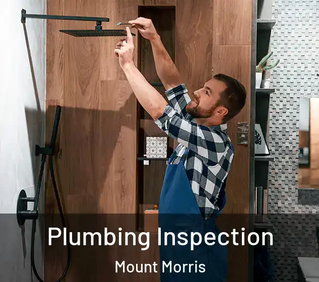  Plumbing Inspection Mount Morris