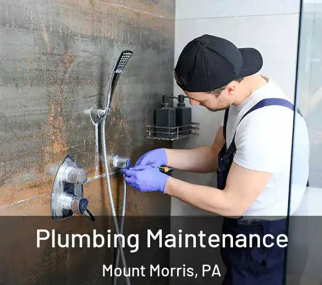  Plumbing Maintenance Mount Morris, PA