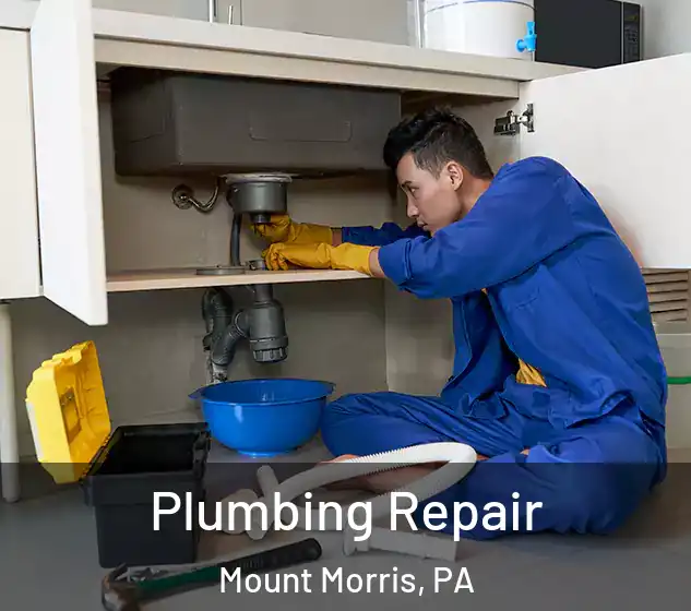  Plumbing Repair Mount Morris, PA