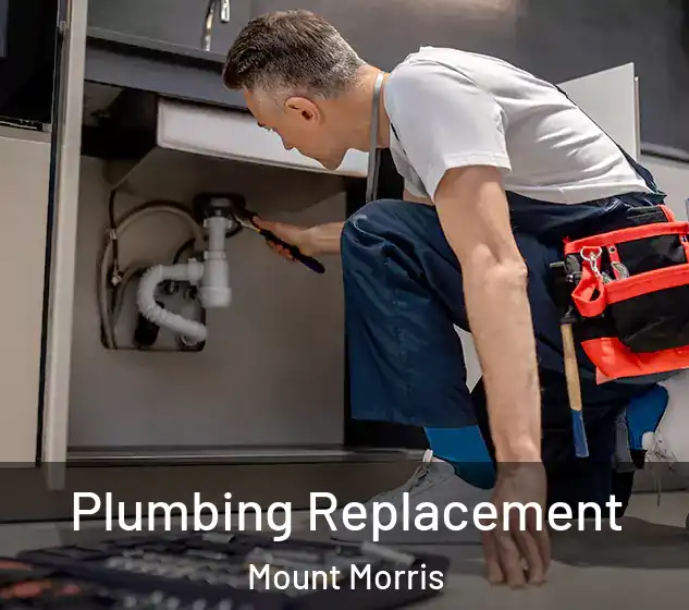  Plumbing Replacement Mount Morris