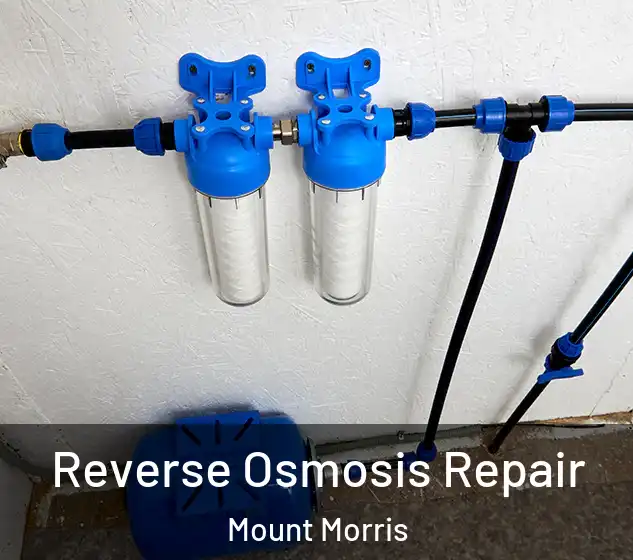  Reverse Osmosis Repair Mount Morris