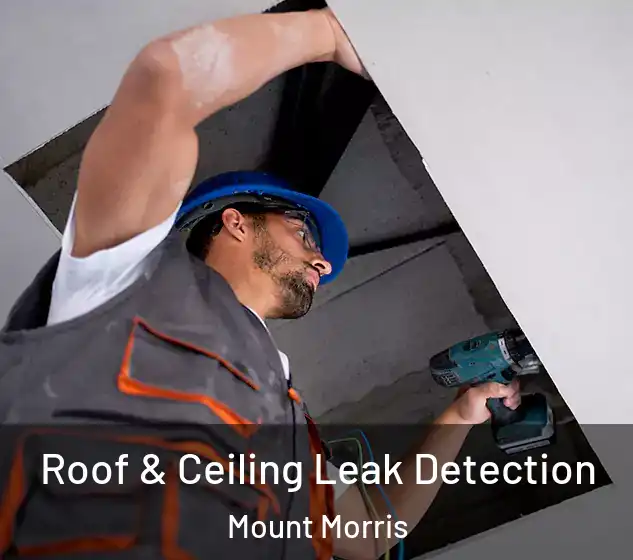  Roof & Ceiling Leak Detection Mount Morris