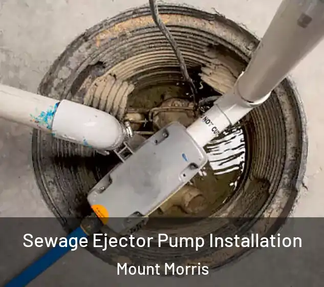  Sewage Ejector Pump Installation Mount Morris
