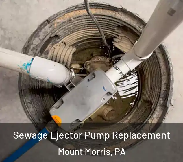  Sewage Ejector Pump Replacement Mount Morris, PA