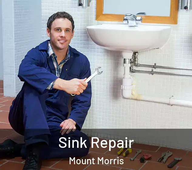  Sink Repair Mount Morris