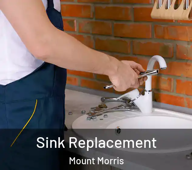  Sink Replacement Mount Morris