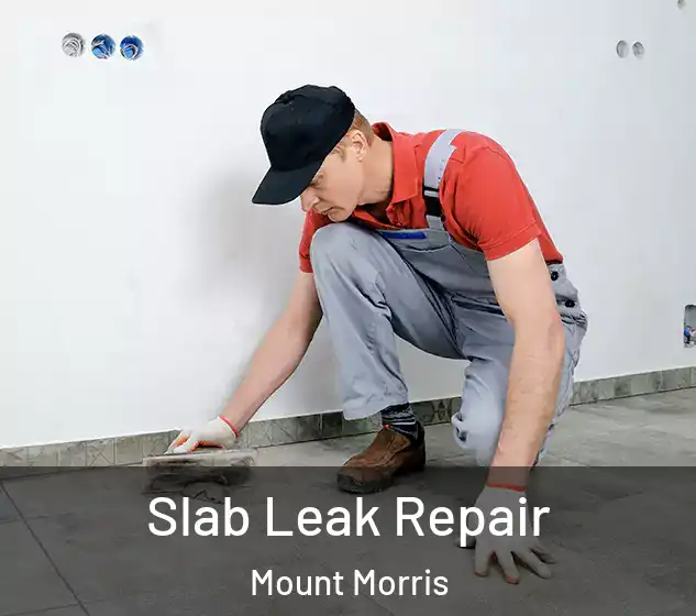  Slab Leak Repair Mount Morris