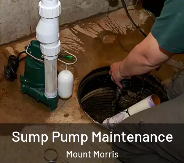  Sump Pump Maintenance Mount Morris