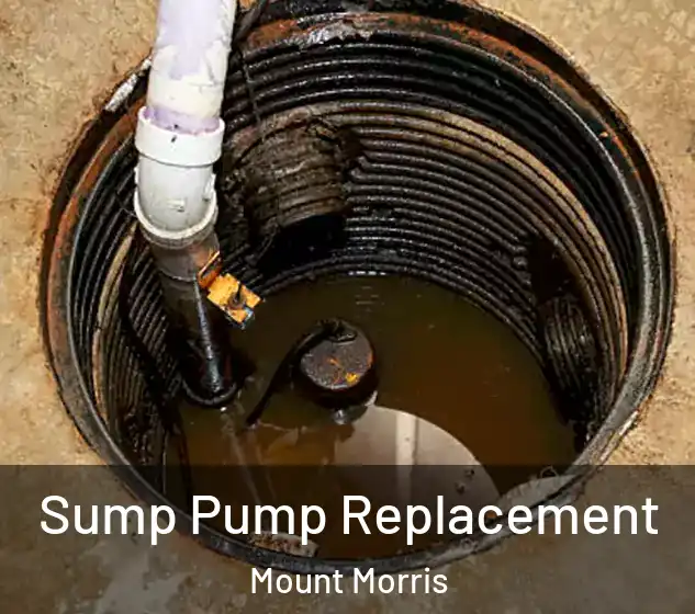  Sump Pump Replacement Mount Morris