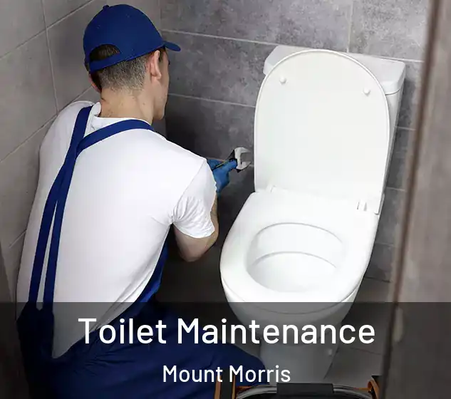  Toilet Maintenance Mount Morris