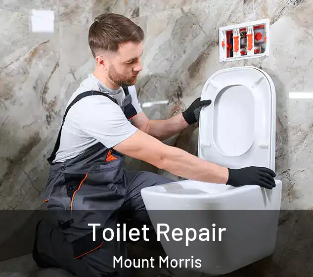  Toilet Repair Mount Morris