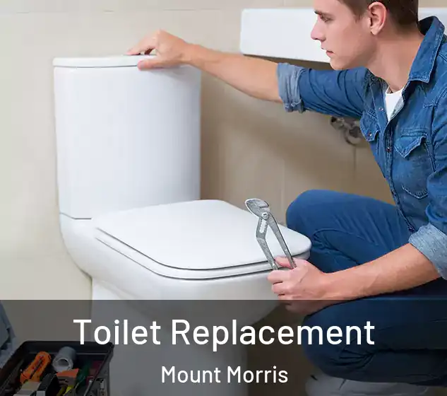  Toilet Replacement Mount Morris