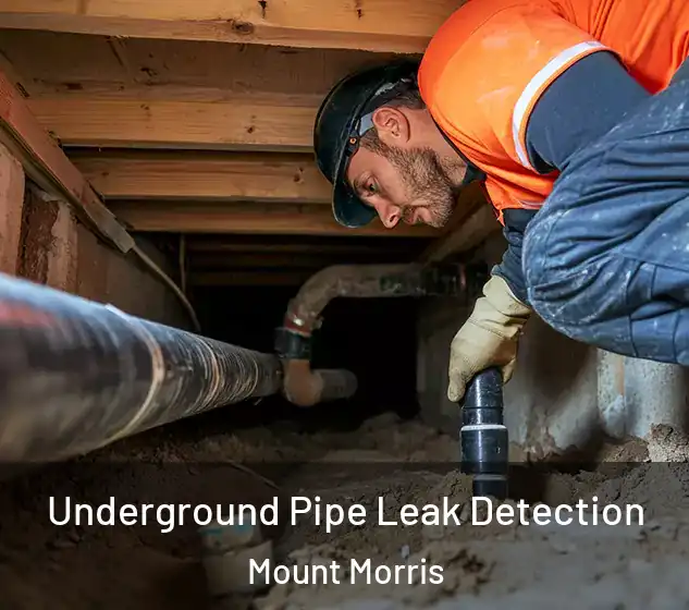  Underground Pipe Leak Detection Mount Morris
