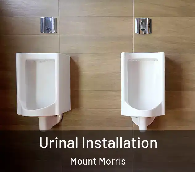  Urinal Installation Mount Morris