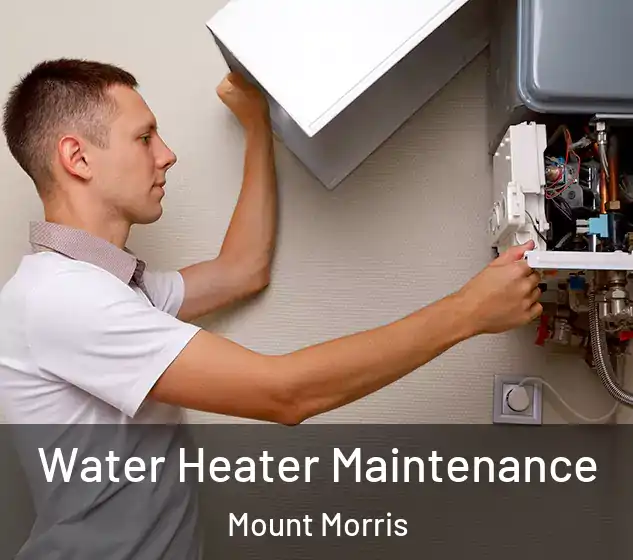  Water Heater Maintenance Mount Morris