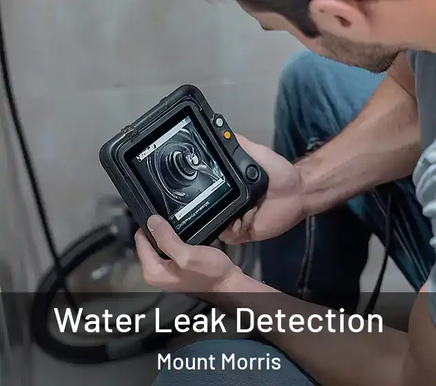  Water Leak Detection Mount Morris
