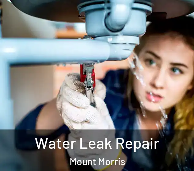  Water Leak Repair Mount Morris