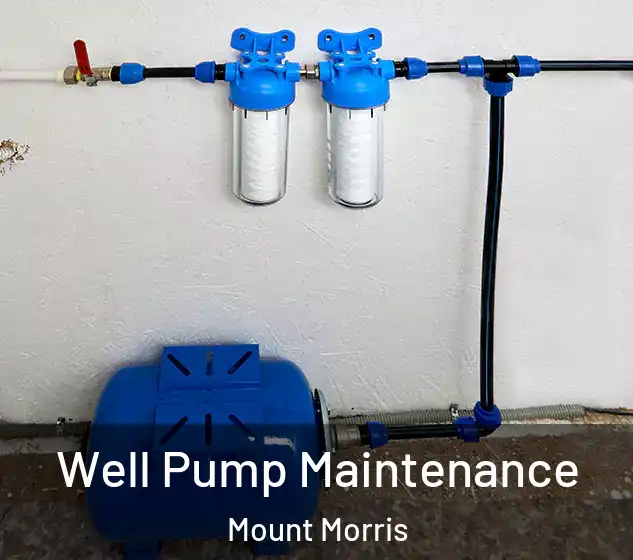 Well Pump Maintenance Mount Morris