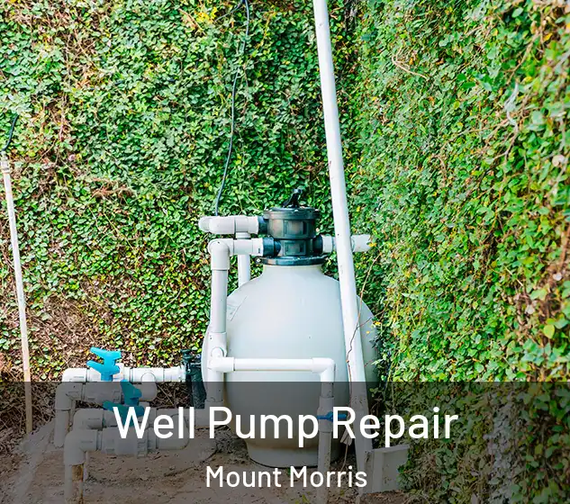  Well Pump Repair Mount Morris