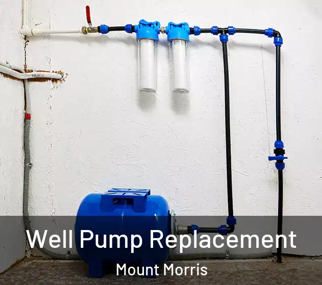  Well Pump Replacement Mount Morris